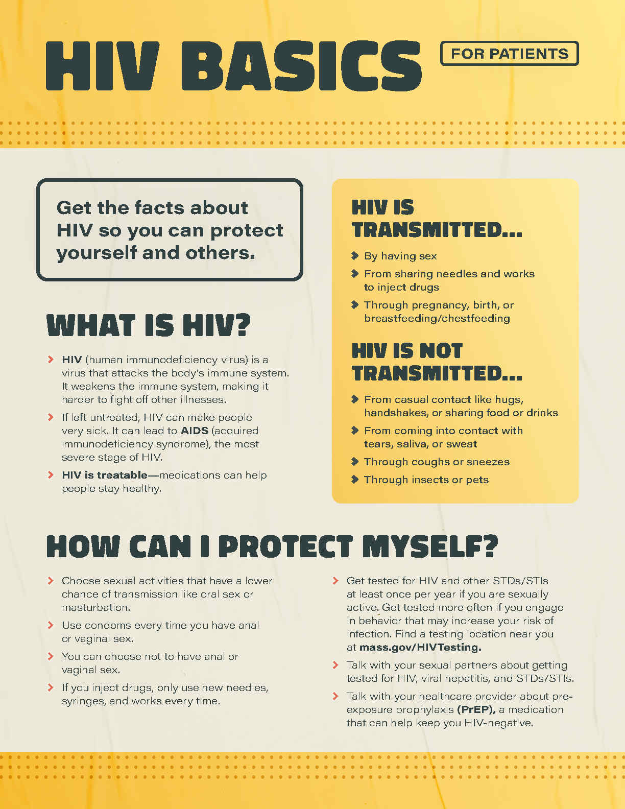 Hiv Basics For Patients Fact Sheet Massachusetts Health Promotion