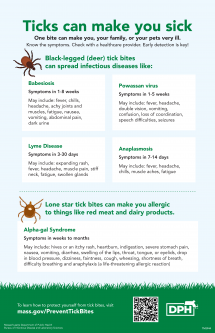 Ticks Can Make You Sick Poster - English