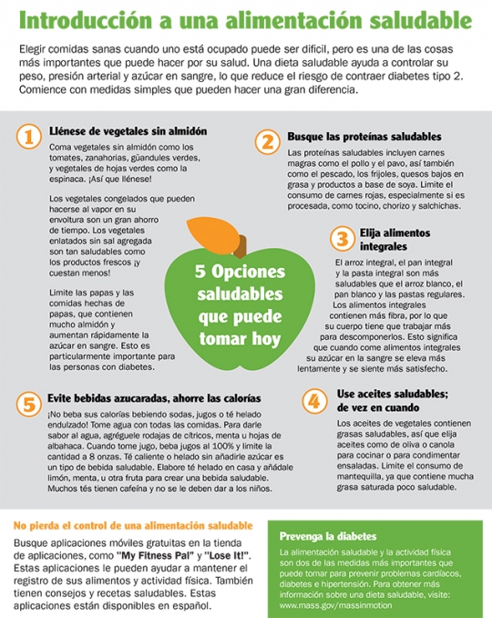 Getting Started With Healthy Eating Fact Sheet Spanish - 