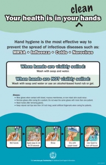 Your Health is in Your Clean Hands Poster