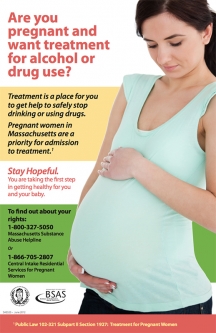 Pregnancy/Detox Poster