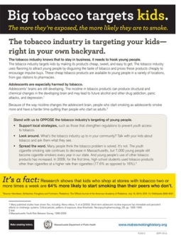 Tobacco Tactics Factsheets - E-Cigarettes, Cigars, Snus, Dissolvable, Blunt Wraps Flyer