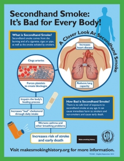 Secondhand Smoke Infographic