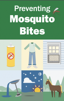 Preventing Mosquito Bites Brochure