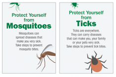 Protect Yourself from Mosquitoes and Ticks Accordion Brochure